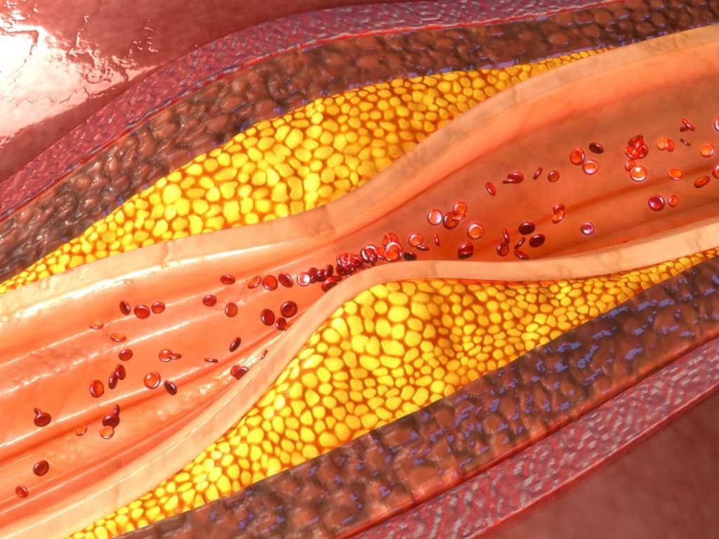 Что произойдет с сердечно сосудистой системой при повышении давления в сонной артерии