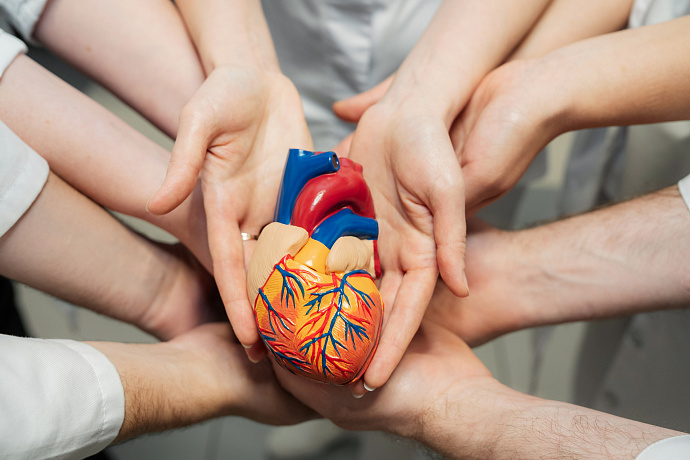 Лечение сердечно-сосудистых заболеваний 