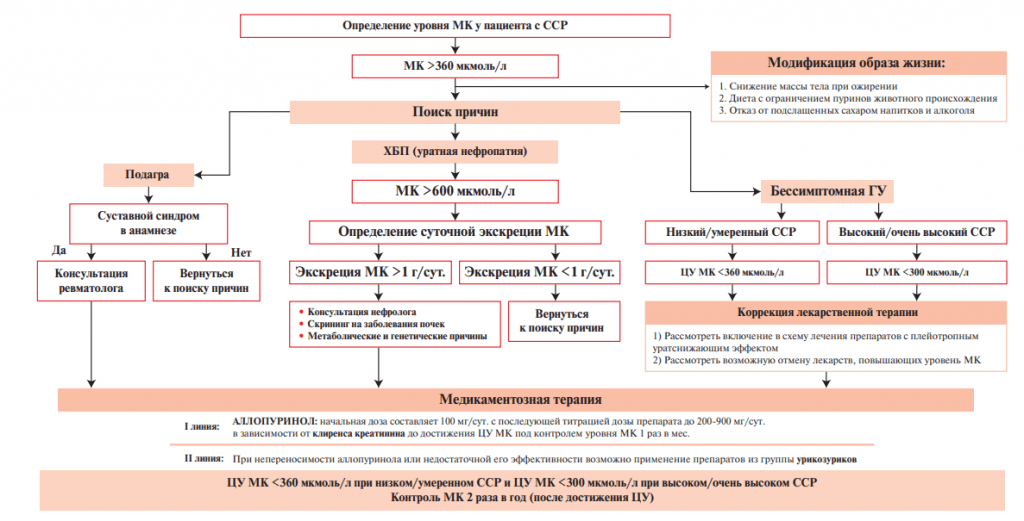 Схема назначения терапии пациентам с повышением уровня мочевой кислоты крови по результатам Резолюции Cовета экспертов «В фокусе гиперурикемия»; Кардиоваскулярная терапия и профилактика.